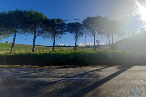 Helårsgrund i Cadaval, Lisbon, Cadaval - € 105.000 | Ref: 85573 - foto 4