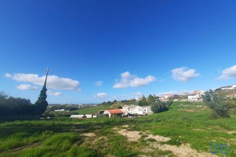 Helårsgrund i Cadaval, Lisbon, Cadaval - € 105.000 | Ref: 85573 - foto 10