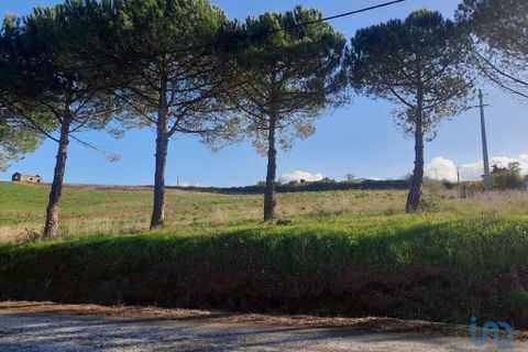 Helårsgrund i Cadaval, Lisbon, Cadaval - € 105.000 | Ref: 85573 - foto 11