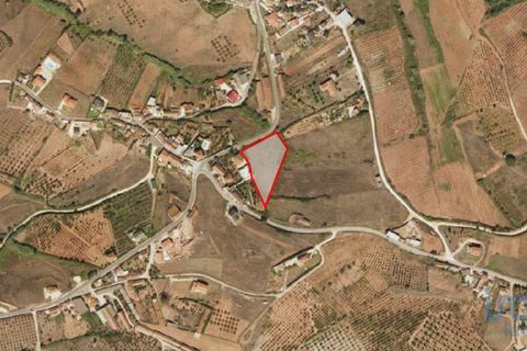 Helårsgrund i Cadaval, Lisbon, Cadaval - € 105.000 | Ref: 85573 - foto 12