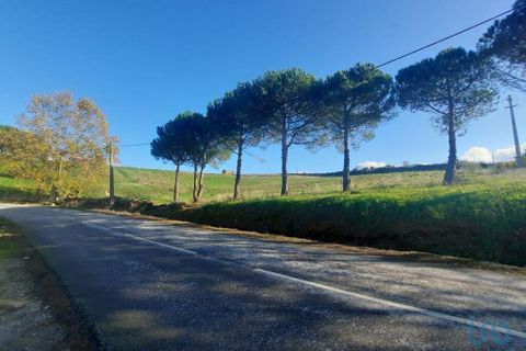 Helårsgrund i Cadaval, Lisbon, Cadaval - € 105.000 | Ref: 85573 - foto 15