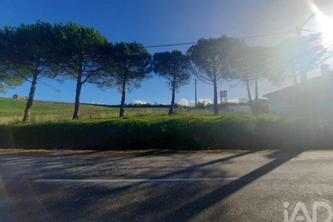 Helårsgrund i Cadaval, Lisbon, Cadaval - € 105.000 | Ref: 85573 - foto 16
