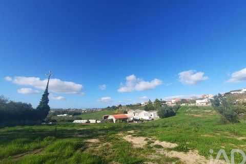 Helårsgrund i Cadaval, Lisbon, Cadaval - € 105.000 | Ref: 85573 - foto 17