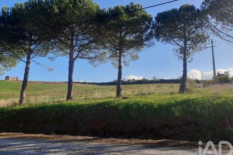 Helårsgrund i Cadaval, Lisbon, Cadaval - € 105.000 | Ref: 85573 - foto 18