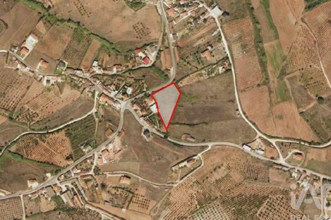 Helårsgrund i Cadaval, Lisbon, Cadaval - € 105.000 | Ref: 85573 - foto 19