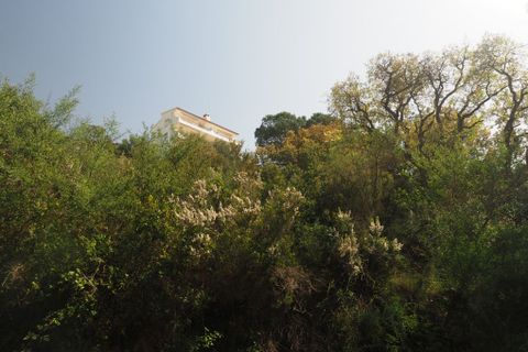 Helårsgrund i Roses, Gerona, Roses - € 440.000 | Ref: W-0466NW - foto 4