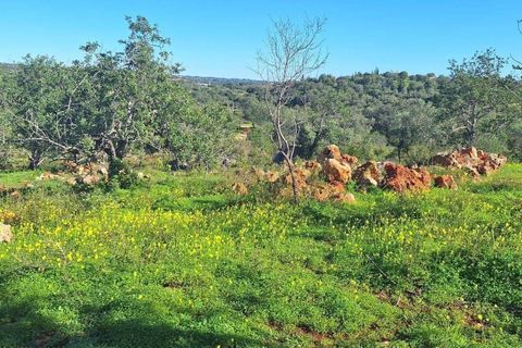 Helårsgrund i Olhao, Faro, Olhao - € 130.000 | Ref: C0454-00093 - foto 4