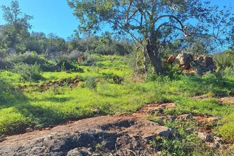 Helårsgrund i Olhao, Faro, Olhao - € 130.000 | Ref: C0454-00093 - foto 5