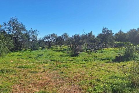 Helårsgrund i Olhao, Faro, Olhao - € 130.000 | Ref: C0454-00093 - foto 6