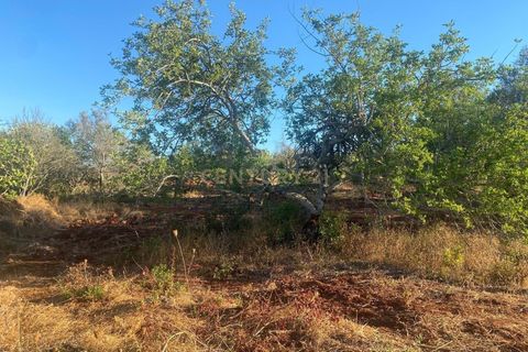 Helårsgrund i Olhao, Faro, Olhao - € 130.000 | Ref: C0454-00093 - foto 8