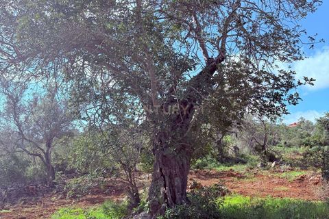 Helårsgrund i Olhao, Faro, Olhao - € 130.000 | Ref: C0454-00093 - foto 9