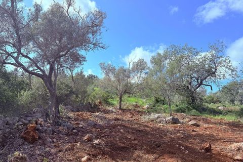 Helårsgrund i Olhao, Faro, Olhao - € 130.000 | Ref: C0454-00093 - foto 10