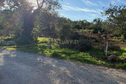Helårsgrund i Olhao, Faro, Olhao - € 130.000 | Ref: C0454-00093 - foto 11