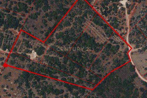 Helårsgrund i Olhao, Faro, Olhao - € 130.000 | Ref: C0454-00093 - foto 12