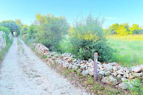 Helårsgrund i Olhao, Faro, Olhao - € 79.000 | Ref: C0454-00116 - foto 3