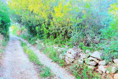 Helårsgrund i Olhao, Faro, Olhao - € 79.000 | Ref: C0454-00116 - foto 5