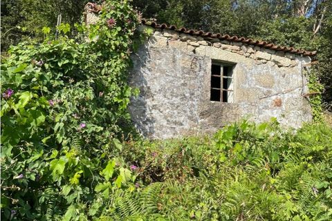 Villa a Arcos de Valdevez, Viana do Castelo, Arcos de Valdevez - € 55.000 | Ref: 123331167-537 - foto 3