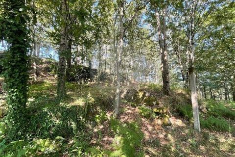 Villa a Arcos de Valdevez, Viana do Castelo, Arcos de Valdevez - € 55.000 | Ref: 123331167-537 - foto 6
