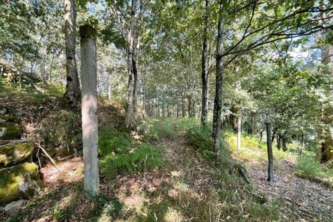 Villa a Arcos de Valdevez, Viana do Castelo, Arcos de Valdevez - € 55.000 | Ref: 123331167-537 - foto 13