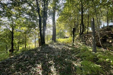 Villa a Arcos de Valdevez, Viana do Castelo, Arcos de Valdevez - € 55.000 | Ref: 123331167-537 - foto 16