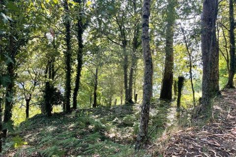 Villa a Arcos de Valdevez, Viana do Castelo, Arcos de Valdevez - € 55.000 | Ref: 123331167-537 - foto 36