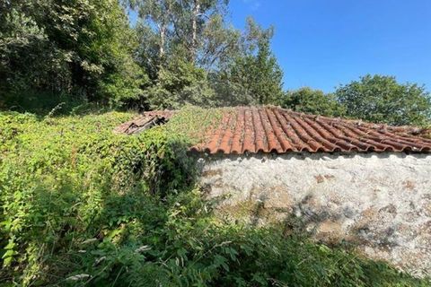 Villa a Arcos de Valdevez, Viana do Castelo, Arcos de Valdevez - € 55.000 | Ref: 123331167-537 - foto 37