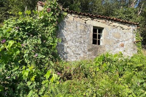 Villa a Arcos de Valdevez, Viana do Castelo, Arcos de Valdevez - € 55.000 | Ref: 123331167-537 - foto 38