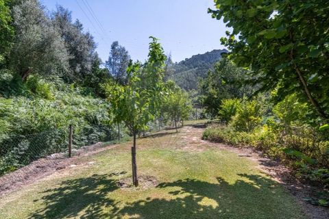 Villa a Parada do Bouro, Braga, Parada do Bouro - € 595.000 | Ref: 123331024-867 - foto 47