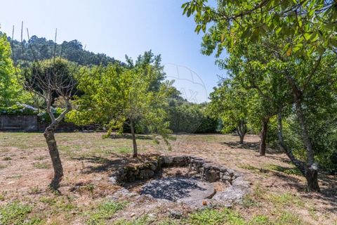 Villa a Parada do Bouro, Braga, Parada do Bouro - € 595.000 | Ref: 123331024-867 - foto 49