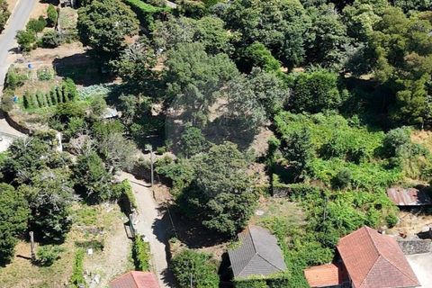 Villa a Fontoura, Viana do Castelo, Fontoura - € 79.500 | Ref: 123331212-78 - foto 10