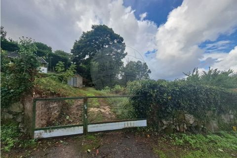 Villa a Fontoura, Viana do Castelo, Fontoura - € 79.500 | Ref: 123331212-78 - foto 27