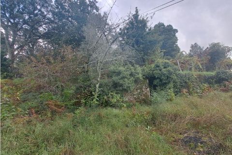 Villa a Fontoura, Viana do Castelo, Fontoura - € 79.500 | Ref: 123331212-78 - foto 30