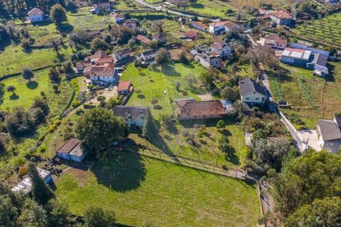 Helårsgrund i Ponte de Lima, Viana do Castelo, Ponte de Lima - € 85.000 | Ref: 126201038-1 - foto 3