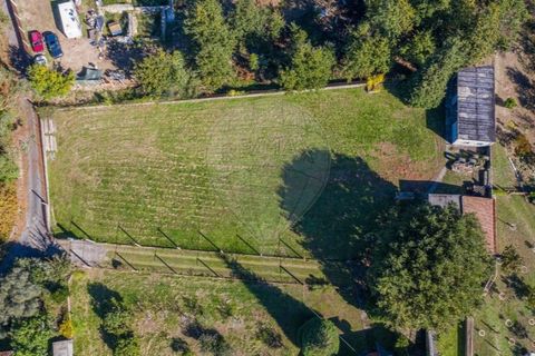Helårsgrund i Ponte de Lima, Viana do Castelo, Ponte de Lima - € 85.000 | Ref: 126201038-1 - foto 6