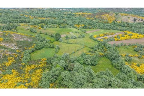 Helårsgrund i Chaves, Vila Real, Chaves - € 24.900 | Ref: 126381029-9 - foto 12