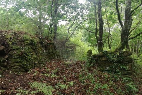 Terra a Caldelas, Braga, Caldelas - € 39.900 | Ref: 126971021-7 - foto 2