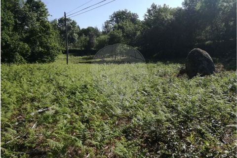 Terra a Caldelas, Braga, Caldelas - € 39.900 | Ref: 126971021-7 - foto 5