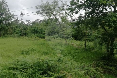 Terra a Caldelas, Braga, Caldelas - € 39.900 | Ref: 126971021-7 - foto 8
