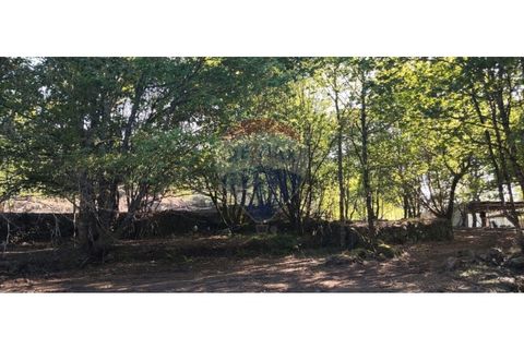 Terra a Caldelas, Braga, Caldelas - € 39.900 | Ref: 126971021-7 - foto 10
