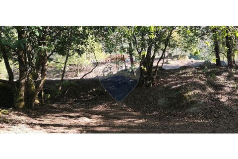 Terra a Caldelas, Braga, Caldelas - € 39.900 | Ref: 126971021-7 - foto 11