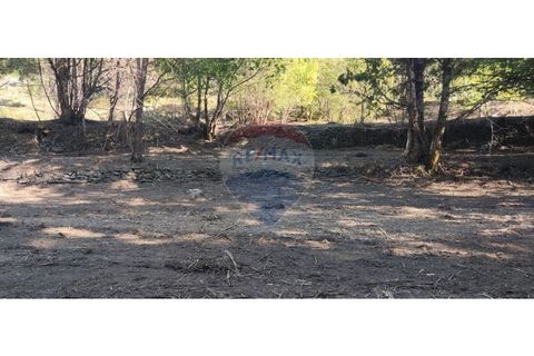 Terra a Caldelas, Braga, Caldelas - € 39.900 | Ref: 126971021-7 - foto 13