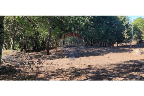 Terra a Caldelas, Braga, Caldelas - € 39.900 | Ref: 126971021-7 - foto 15