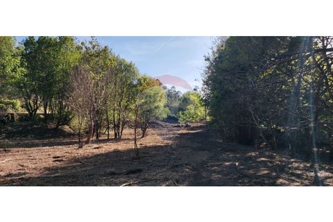 Terra a Caldelas, Braga, Caldelas - € 39.900 | Ref: 126971021-7 - foto 16
