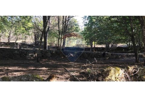 Terra a Caldelas, Braga, Caldelas - € 39.900 | Ref: 126971021-7 - foto 21