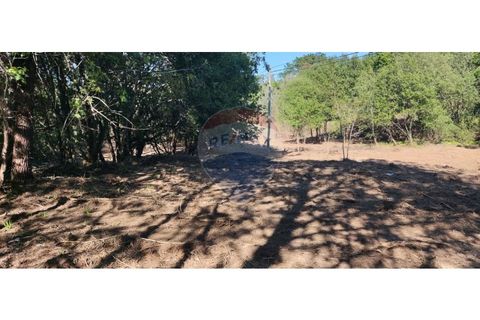 Terra a Caldelas, Braga, Caldelas - € 39.900 | Ref: 126971021-7 - foto 22
