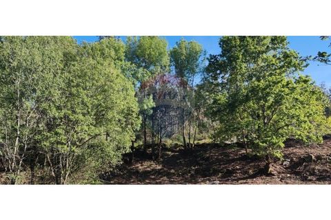 Terra a Caldelas, Braga, Caldelas - € 39.900 | Ref: 126971021-7 - foto 23