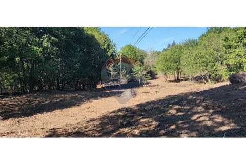 Terra a Caldelas, Braga, Caldelas - € 39.900 | Ref: 126971021-7 - foto 24