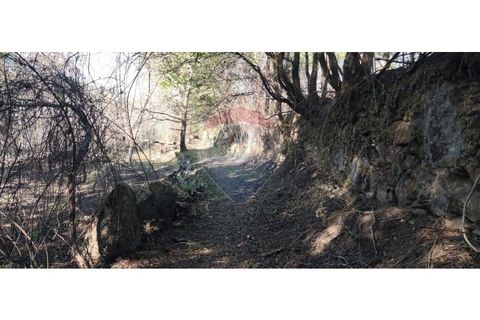 Terra a Caldelas, Braga, Caldelas - € 39.900 | Ref: 126971021-7 - foto 25