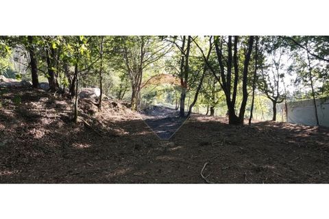 Terra a Caldelas, Braga, Caldelas - € 39.900 | Ref: 126971021-7 - foto 26