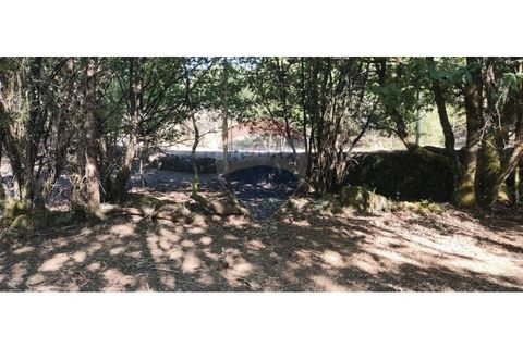 Terra a Caldelas, Braga, Caldelas - € 39.900 | Ref: 126971021-7 - foto 27